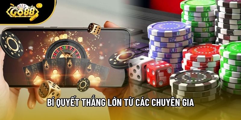 Bí quyết thắng lớn từ các chuyên gia